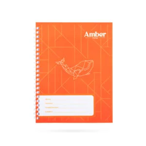 AMBER NOTES Soft Ring Notebook 20cm x 15cm Orange